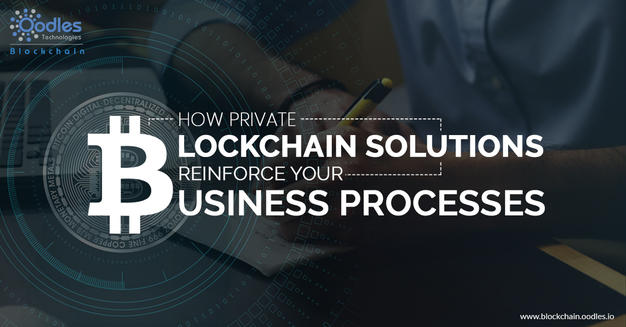 How Private Blockchain Solutions Reinforce Your Business Processes