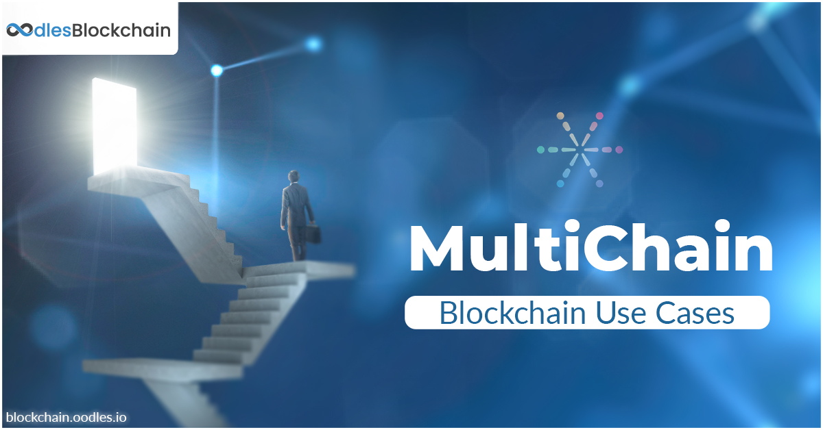 Multichain Blockchain Use Cases